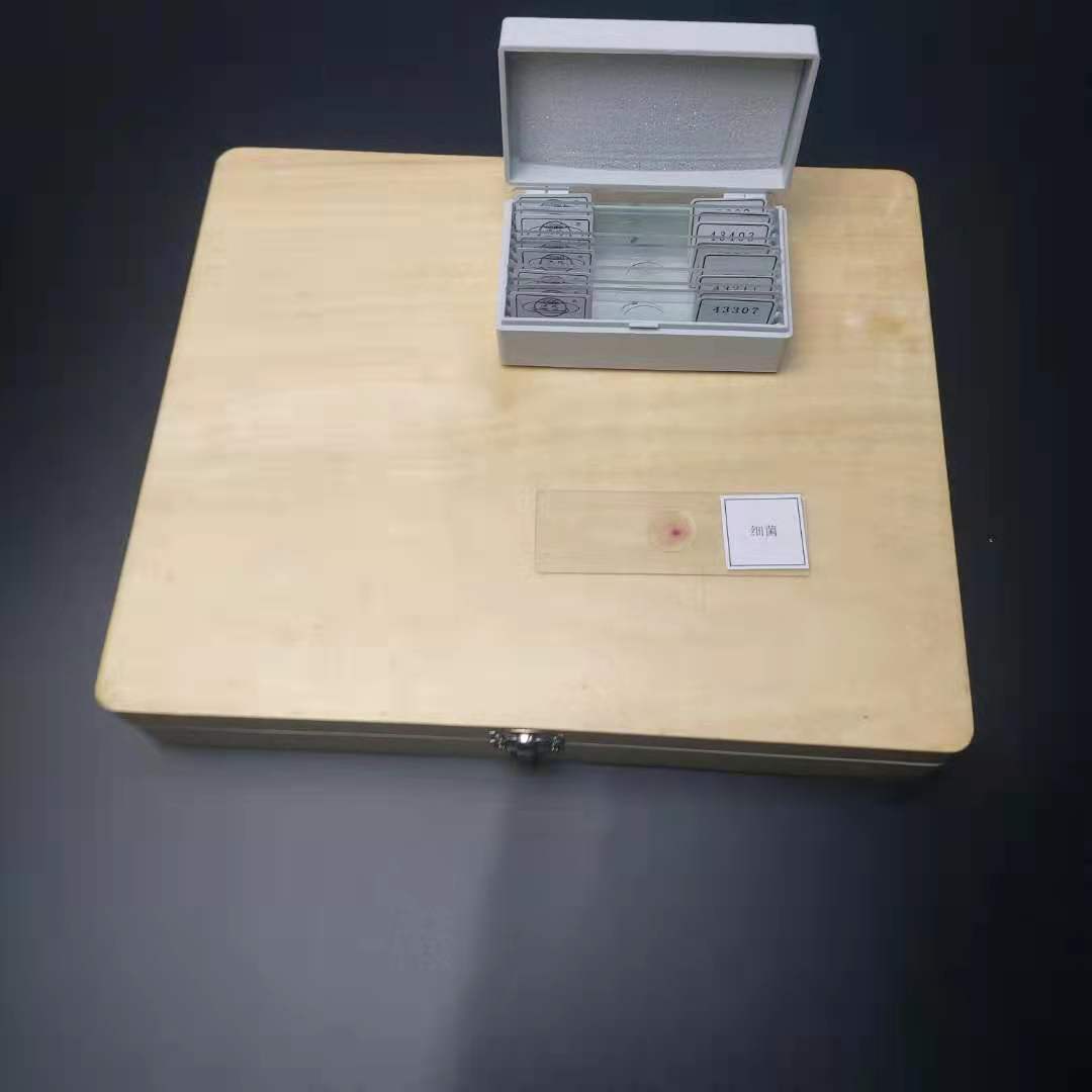 人血细胞切片切片盒生物显微装片