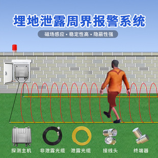 Leakage Underground Weekly Alarm System Leakage Cable Alarm Host Electromagnetic Induction Invasion Alarm