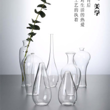 透明玻璃花瓶插花水养梅瓶禅意水晶摆件家居客厅装饰日式水培花器