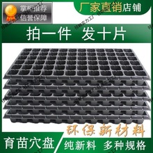 育苗穴盘育苗盘加厚PVC蔬菜多肉芽菜扦插盘辣椒秧苗盘草莓育苗盆