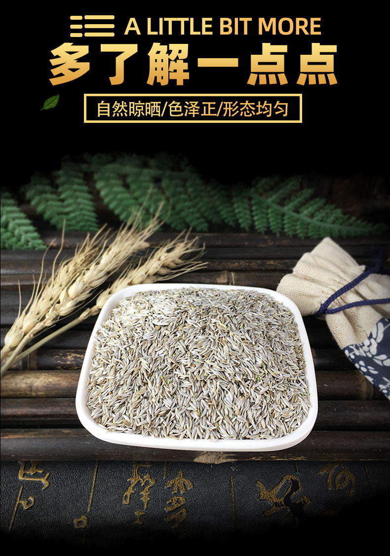 White Lettuce Seed Bai Ju Sheng 白巨胜 Dried Culinary Herb Seeds Cleaned Raw Botanical key features