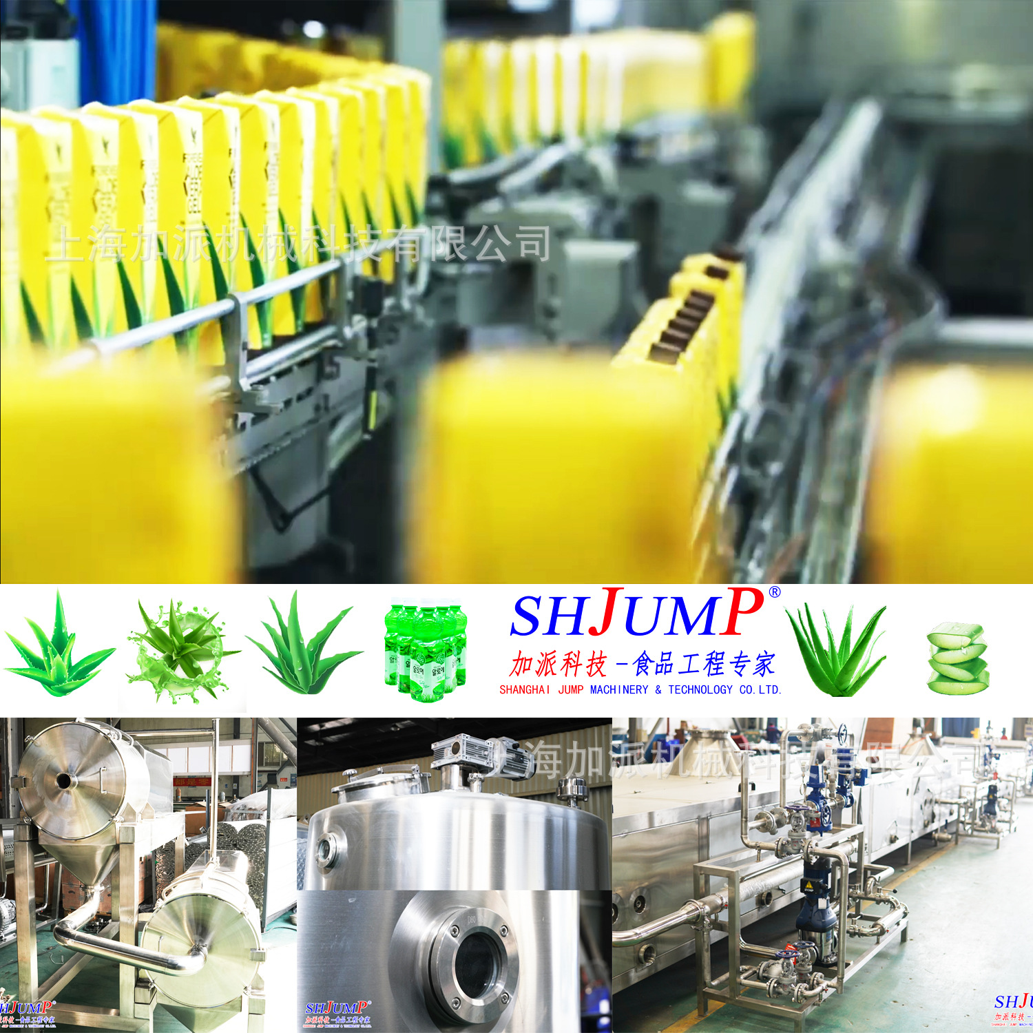 蘆薈加工生產線4