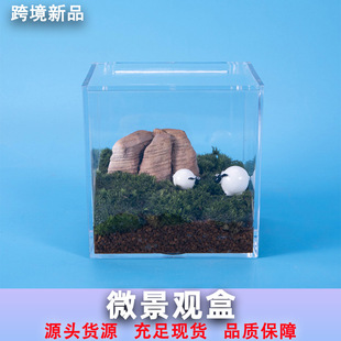 Moss Micro Landscape Bottle Ecological Tank Mini DIY Box Office Desktop Creative Plant Ornaments Cross-Border Wholesale