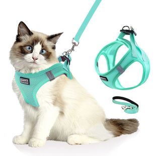 Anti-break Cat Leash Special for Small Dog Teddy Bixiong Dog Walking Leash Chest Leash Dog Leash Cat Leash