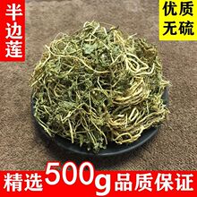 野生半边莲半边连半边花细米草无硫品质当季新货干中药材精选500g