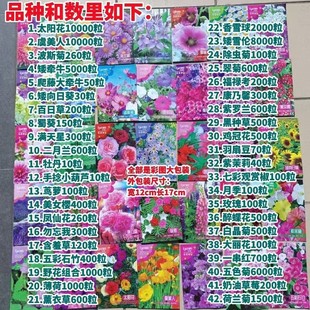 Դ�^�S�����l���N�ʴ����b���ܷN���ļ��������̨ͥԺ���N�Ѵ�ȫ