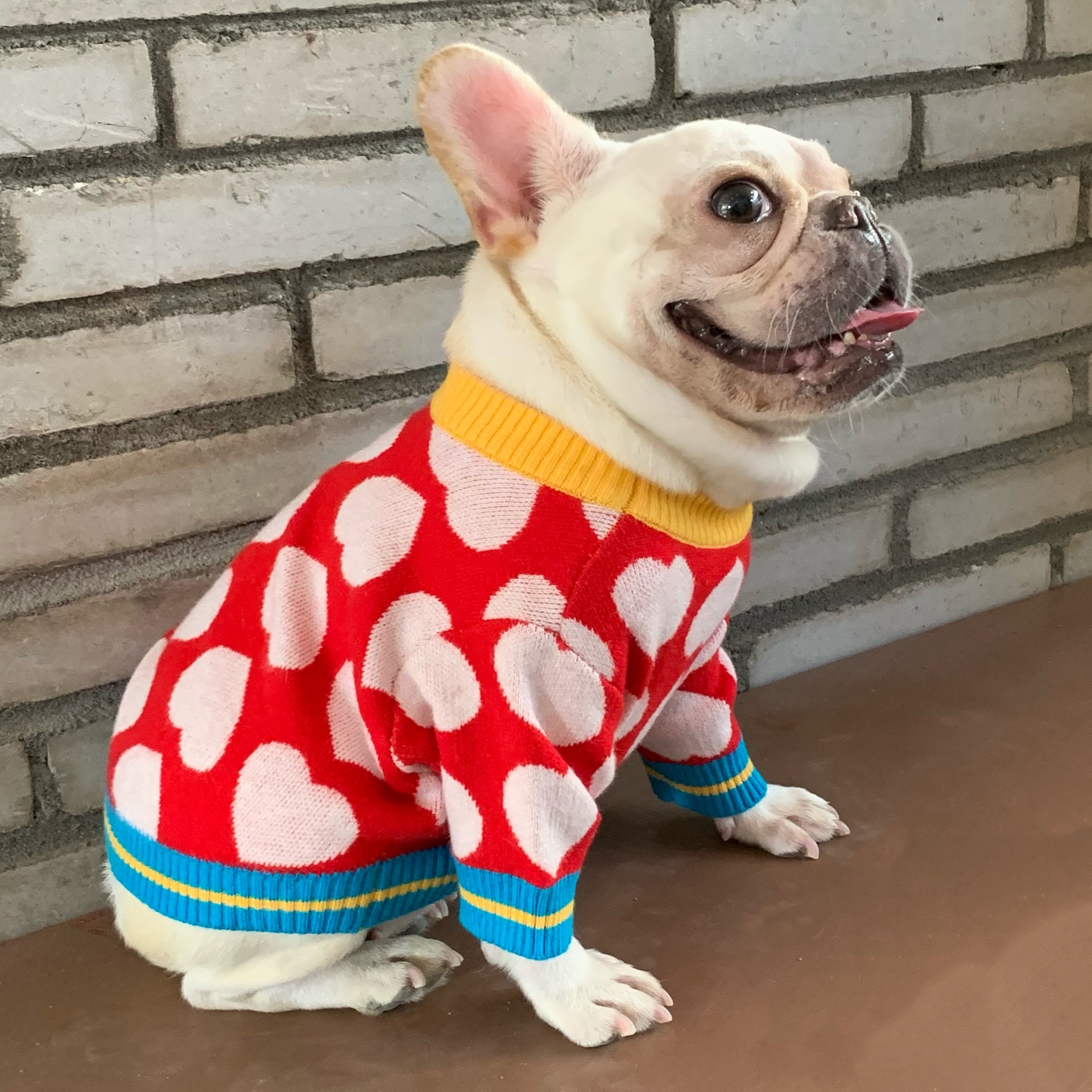 Pet Hoodie Image 8