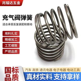 工厂定制充气阀弹簧精密小压簧电器回位簧两头端磨不锈钢压簧