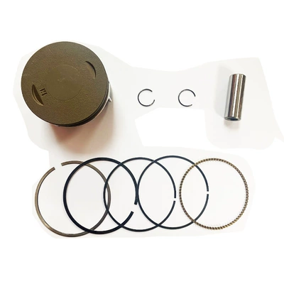Vort-X250 Cps300 Piston – Piston, piston ring, piston pin