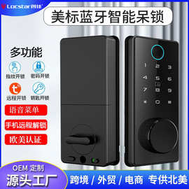 跨境专供北美智能锁呆锁全自动智能门锁密码门锁通通锁木门指纹锁
