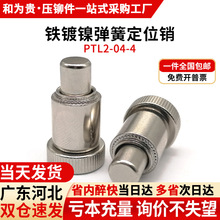 F懏ɶλNAsDNTɲÓPTL2-04-4