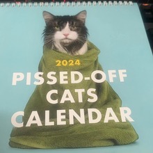 վƷ2024v SNARKY CATS ̱؈՚v ͨŭ؈v