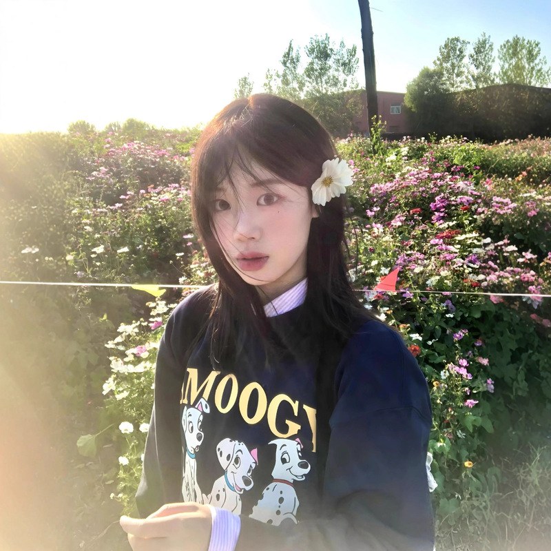 秋冬美式复古可爱斑点狗重磅加绒加厚圆领卫衣男女情侣装薄款上衣|undefined