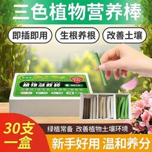 植物缓释棒家用花肥料养花通用型盆栽植物棒状花卉缓释片肥营养棒