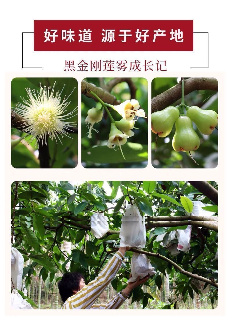 68c2b945-f6a8-427e-a3ac-d4de04d86a1e.jpe