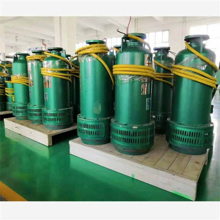 Взрывозащищенный погружной сливной насос для песка в шахте Changli BQS150-60-55/NS погружной сливной насос для песка