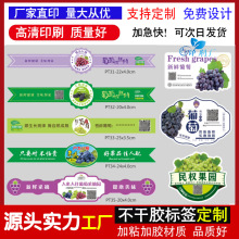 制定阳光玫瑰青提红提水果晴王阳光玫瑰巨峰奶油夏黑不干胶贴纸印