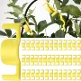 植物弯曲training支撑枝条