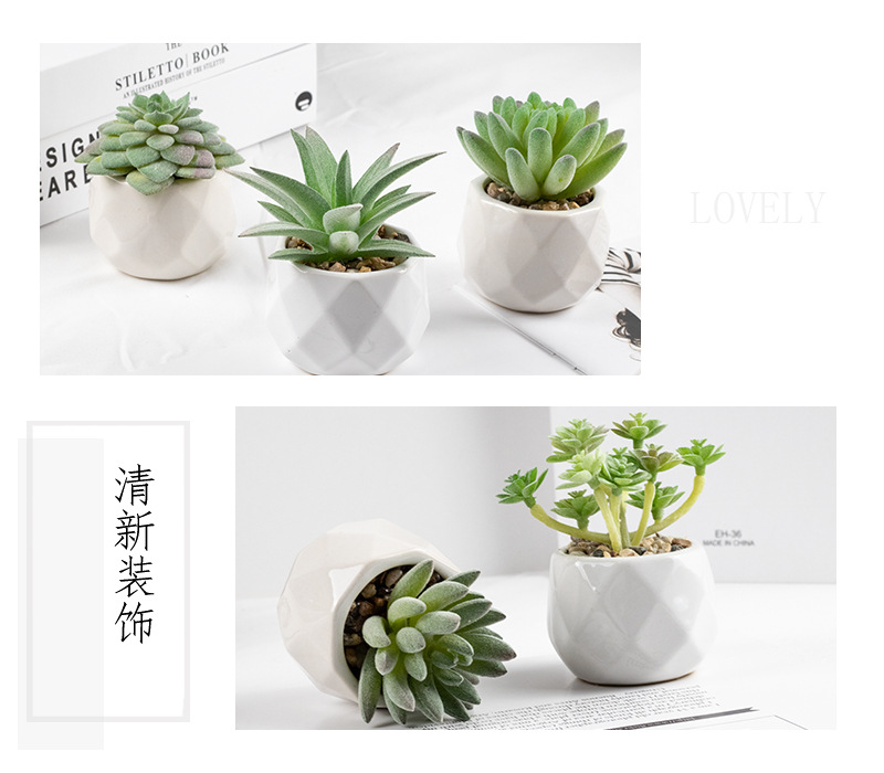 총 6가지 스타일의 인기 콤비네이션 세트