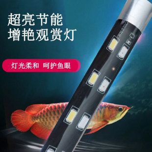 ledˮ���ˮ����T8ˮ���~�ן��W�^�\�������~������ɫ�쾰�����l