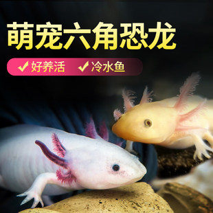 ���ǿ����~���B���������ϔ���~���~С���~������ˮ�^�p�W�t�~