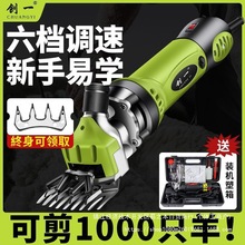 늄ë늼ëӴʼëë늄