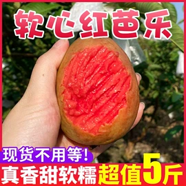 软糖;面筋制品;传统糕点