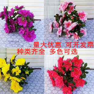 ���N��ܛ�b�G���������������ϼٻ������WУ�[�O�b�Ʒӳɽ�t