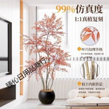 �й��L����Gֲ������tɫ�߶��p���҃��ҕ�����b���ؔ[������