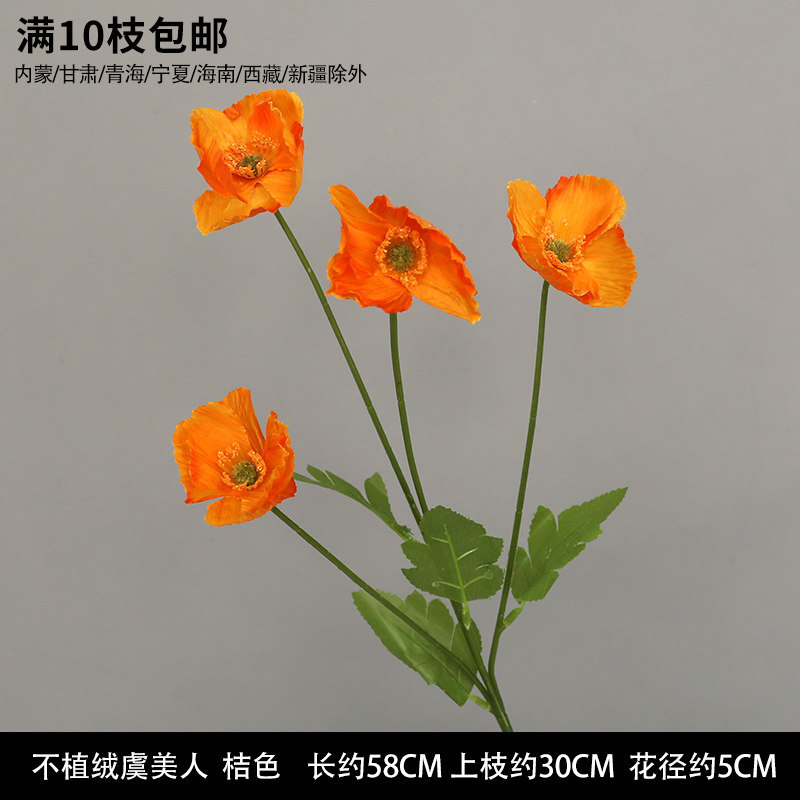 不植绒虞美人