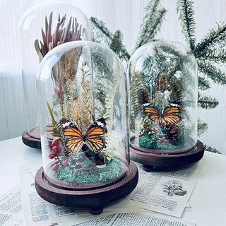 玻璃罩蝴蝶标本植物标本永生花干花摆件昆虫diy微景观母亲节
