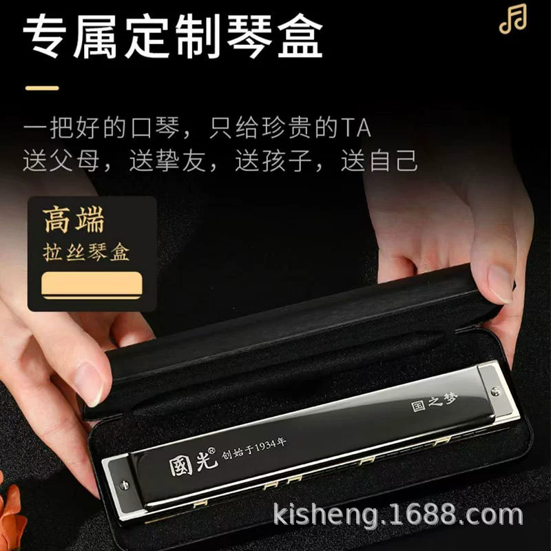 Гармоника для взрослых Harmonica, профессиональные музыкальные инструменты, для начинающих, обучение