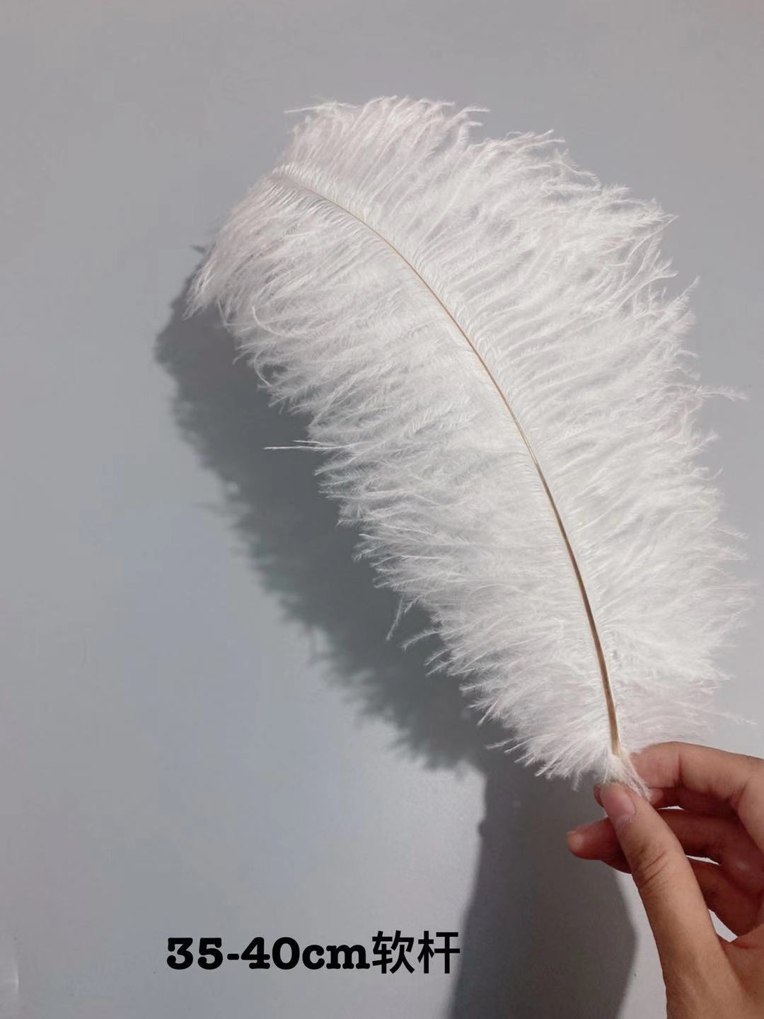 b6a4e36ec149b5ff5eedb6deb85e8e