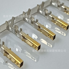 ɟMX4.2mmӾ僽5557ᘲ5556BӾ䉺^