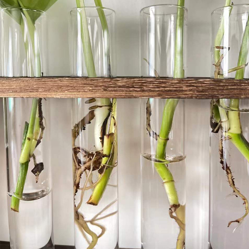 Decoración del hogar vidrio jarrón hidropónico colgante tubo de ensayo arreglo floral flores secas plantas de flores en la pared maceta sala de estar