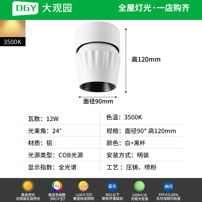 Gran vista jardín luz de techo luminaria luminaria luminaria luminaria LED antirresplandeciente 495L