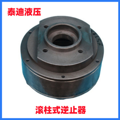 ZSY200 ZSY224滚柱式逆止器 配用泰隆 泰星减速机|ru