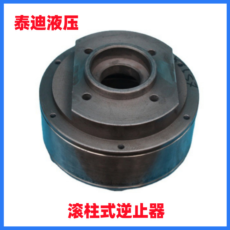 ZSY315 ZSY355滚柱式逆止器 配用泰隆 泰星减速机