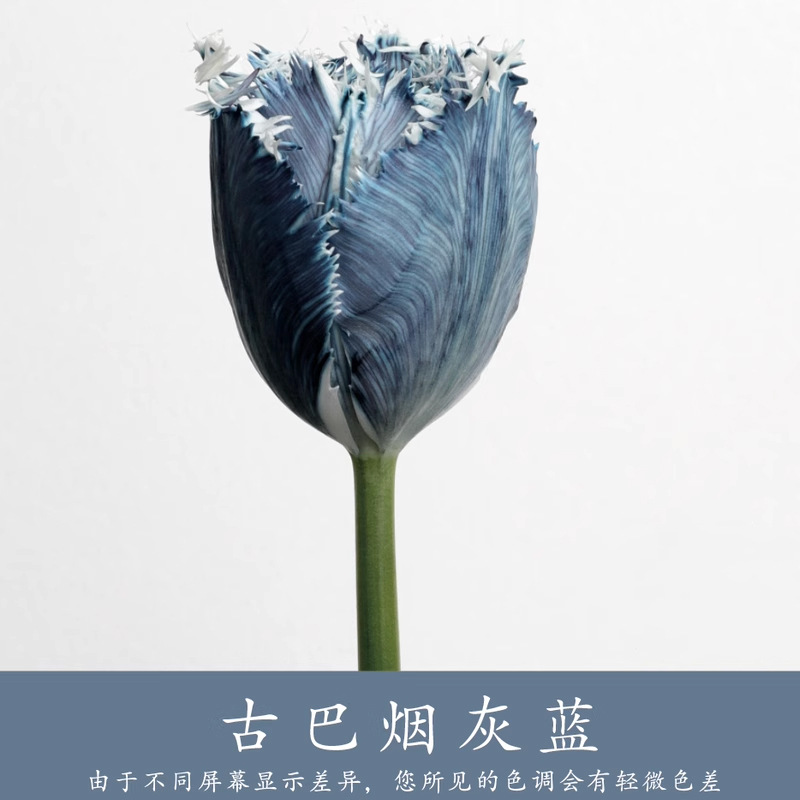 Material de embalaje de flores frescas Agente de tinción en aerosol de flores secas Salsa de ciruela negra Pintura en aerosol de flores Pintura en aerosol de flores Agente de color de flores