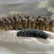 Ħ���ڴ̅�Ұ�����ɺ�����؛�������״̅����y�����S���Ƶ깩��