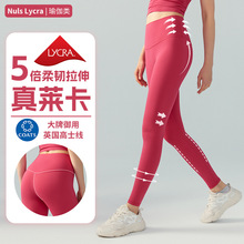 Nulu�ߏ�����R���٤ѝŮ�����o�ȿp�H�w�\�Ӹ�ʿ�������٤�Lѝ