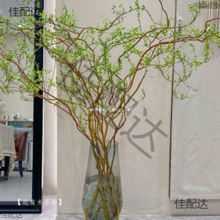 �����r��֦���F��͏dˮ��W�t�Gֲ�ﻨ���҃����Ժ��B���֧ѩ��