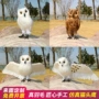 仿真园林猫头鹰影视道具