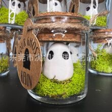 Pet Ghost �羳�I�B���`�f�}����ɫ�����`����Ϟ�T�S�ƿľ�Ɣ[��