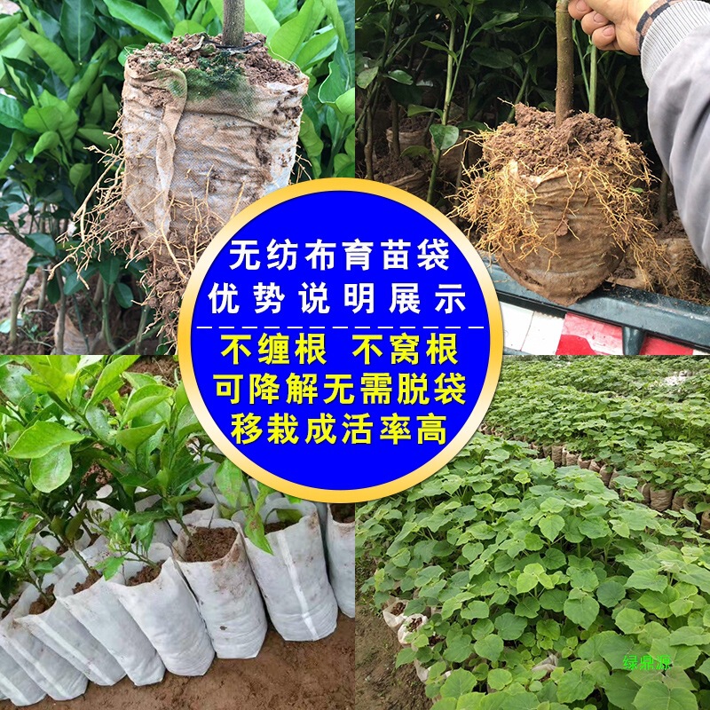 苗床苗トレイ栄養袋苗カップ植栽美しい植物バッグ肥厚ツリーバッグ庭の植木鉢不織布苗バッグ|undefined