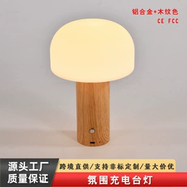 装饰台灯;创意台灯;USB灯