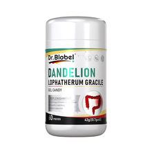 Dr.blobel布洛贝尔 蒲公英淡竹叶凝胶糖果除息60粒 源头厂家 现货