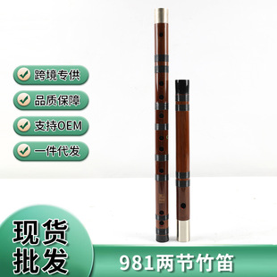 ������S��������p��̌W���l981�����������Ϙ�������������