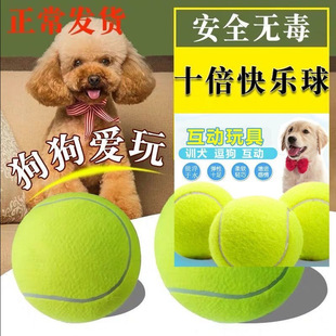 Dog Toy Ball Border Pastoral Koji Golden Hair Dog Walking Dog Training Dog Special Bite-resistant Molar Puppy Pet Dog Tennis