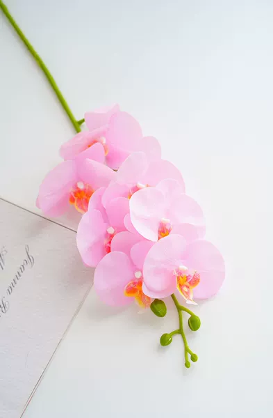 Pink HD014